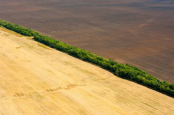 Aerial View Fields Meadows Summer Day — Stock Photo, Image