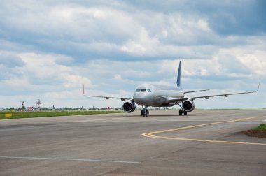 Olgun domates üzerinde şube büyüyor. Bahçede ekili