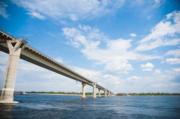 Olgun domates üzerinde şube büyüyor. Bahçede ekili