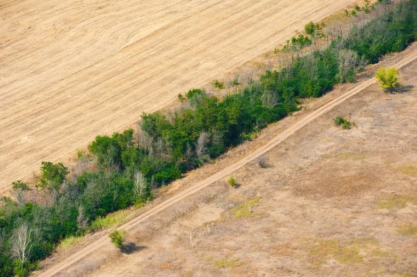 Aerial View Fields Meadows Summer Day — Stock Photo, Image