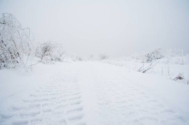 Kış manzarası. Kışın toprak yol