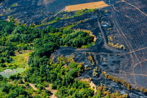 Yangından sonra kavrulmuş ağaçlar ve çimenler. Hava görüntüsü. Peyzaj