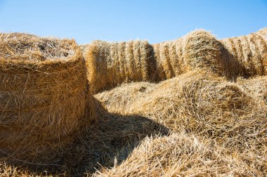 Çiftlikte balya saman dolu saman depolama döken