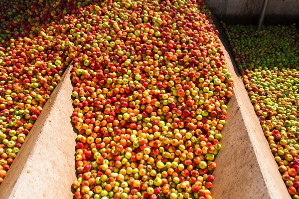 Olgun elmalar bir endüstriyel üretim tesisinde işleniyor ve taşınıyor. Yiyecek endüstrisi. Desenli arkaplan.