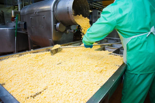 Industrial production of hard cheeses — Stock Photo, Image