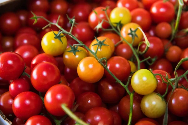 Pomodori ciliegia rossi freschi come sfondo — Foto Stock