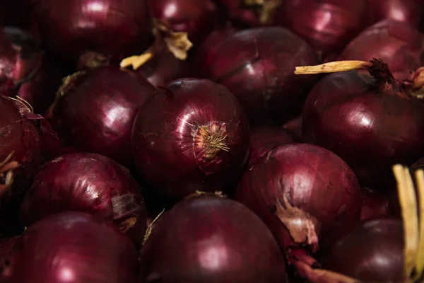 Fresh purple onions as a background — Stock Photo, Image