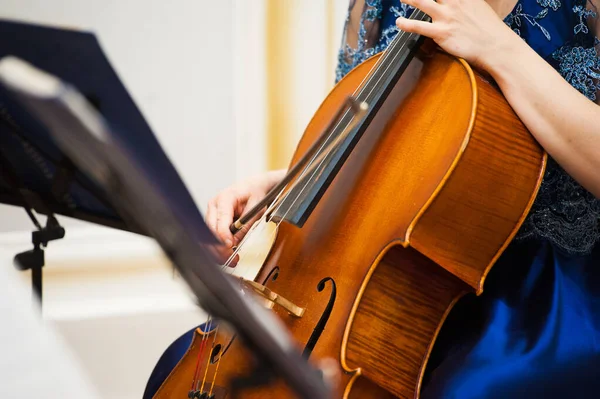 Professionell cello spelarens händer närbild — Stockfoto