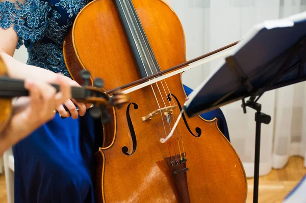 Professionell cello spelarens händer närbild — Stockfoto