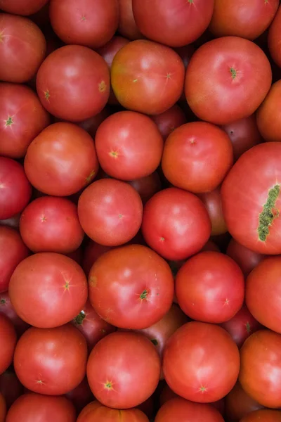 Šťavnatá červená rajčata zavřít — Stock fotografie