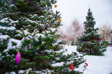 Karların altında süslenmiş Noel ağacı