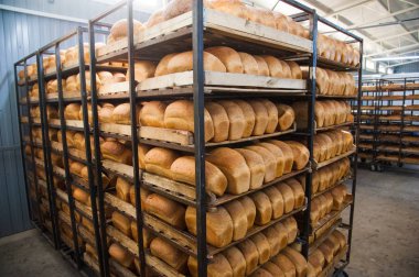 Fırın. Ekmek, rulo, turta ve kurabiye üretimi