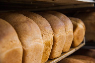 Fırın. Ekmek, rulo, turta ve kurabiye üretimi