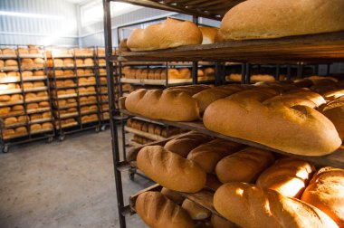 Fırın. Ekmek, rulo, turta ve kurabiye üretimi