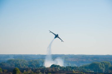 İtfaiye uçağı orman yangınLarını söndürdü