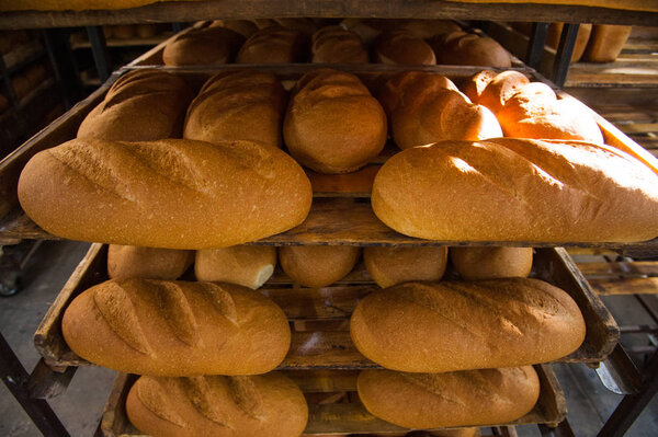 Пекарня. Производство хлеба, рулонов, пирогов и печенья
