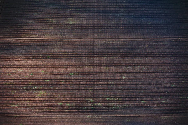 Luchtfoto Van Velden Weiden Tijdens Een Zomerdag — Stockfoto