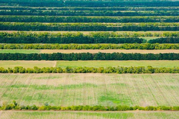 Aerial View Fields Meadows Summer Day — Stock Photo, Image