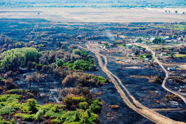 Scorched trees and grass after the fire. Aerial view. Landscape
