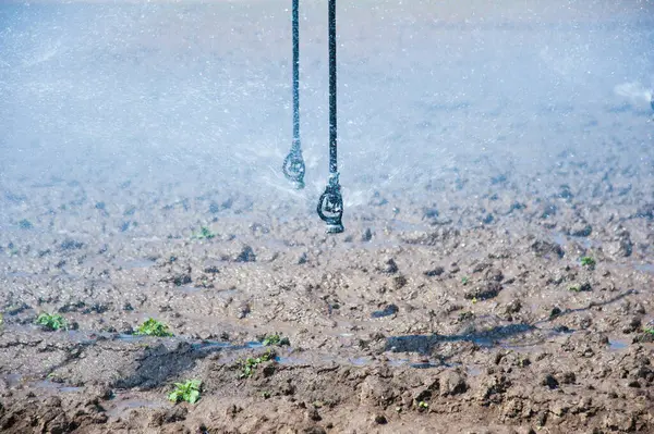 耕作地における自動農業灌漑スプリンクラーシステム — ストック写真