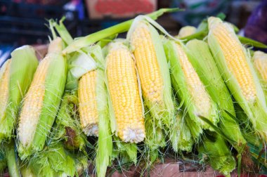 Taze sebzeler: Çiftçi pazarının tezgahında taze mısır kulakları