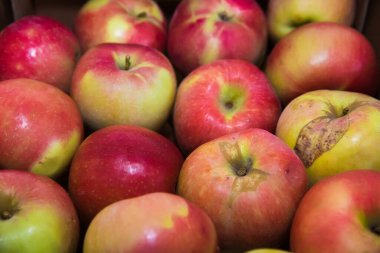 Taze meyve ve sebze. Elmalar pazarda satılır.