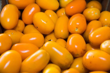 Taze meyve ve sebze. Sarı domatesler pazarda satılır.