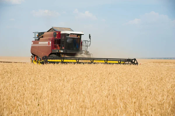 Combine Colheitadeiras Campo Trigo Para Colheita — Fotografia de Stock