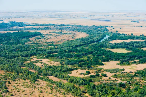 Bir Yaz Günü Havada Orman Manzarası — Stok fotoğraf