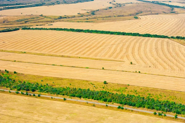 Bir Yaz Günü Çayırların Tarlaların Havadan Görünüşü — Stok fotoğraf