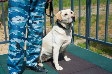 Akıllı polis köpeği ve görevli bir polis memuru.