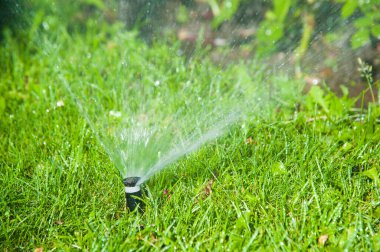 Çimleri sulamak ve gülleri sulamak akıllı bahçe tam otomatik sulama sistemiyle aktif hale getirildi. Sabahın erken saatlerinde parkta çalışıyor.
