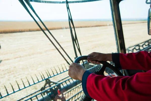 収穫の準備ができている小麦畑で収穫者を組み合わせる — ストック写真