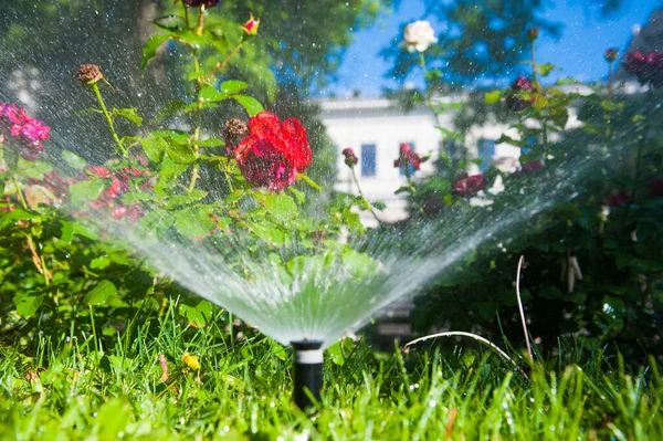 Zavlažování Trávníku Růží Květiny Inteligentní Zahrada Aktivován Plně Automatickým Zavlažovací — Stock fotografie