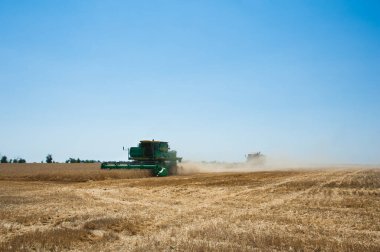 Hasat için buğday tarlasında hasatçıları birleştirin.