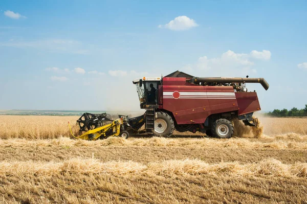 Combine Colheitadeiras Campo Trigo Para Colheita — Fotografia de Stock