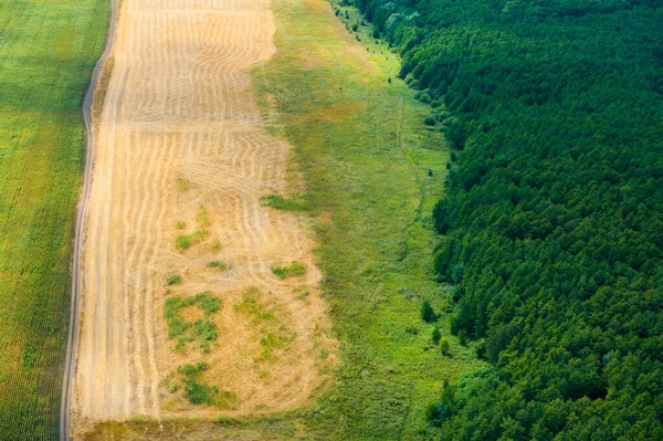 夏日田野及草地的空中景观 — 图库照片