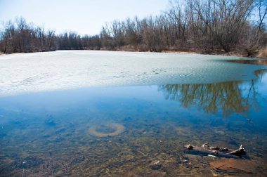 Nehrin kıyısında plastik şişeler ve çöp atıkları.