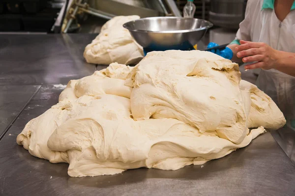 Panadería Producción Pan Panecillos Pasteles Galletas Trabajo Baker — Foto de Stock