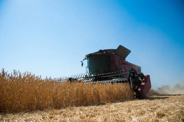 Landbouw Combineer Oogstmachine Een Tarweveld Met Blauwe Lucht — Stockfoto