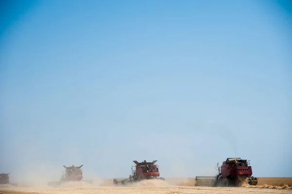 Jordbruk Kombinera Skördare Ett Vetefält Med Blå Himmel — Stockfoto