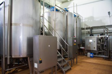 Endüstriyel sert peynir üretimi. Peynir çok lezzetli ve sağlıklı bir üründür.