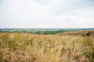 Orta Rusya 'nın geleneksel manzarası. Steppe, ormanlarla kaplı yüksek dağlar değil.