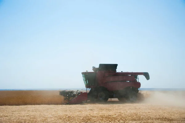 小麦畑に収穫機を青空と組み合わせる — ストック写真