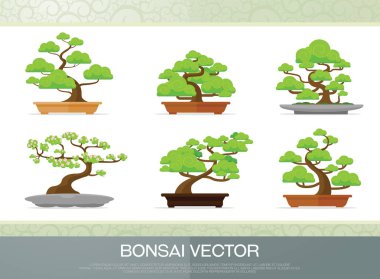 set of bonsai plant  in the pot illustration vector flat style clipart