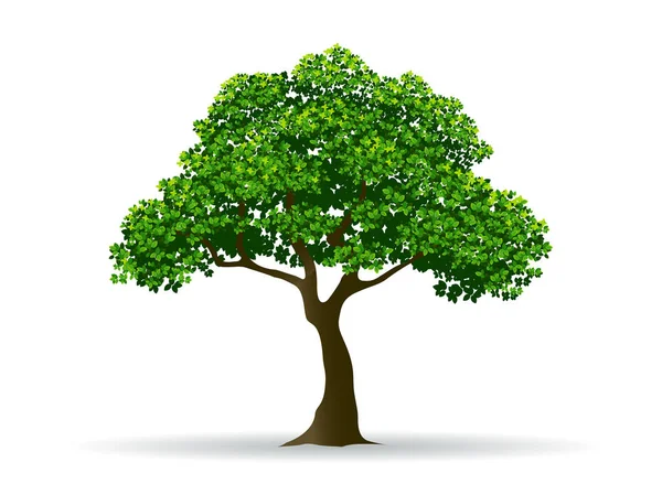 Träd och löv vektor — Stock vektor