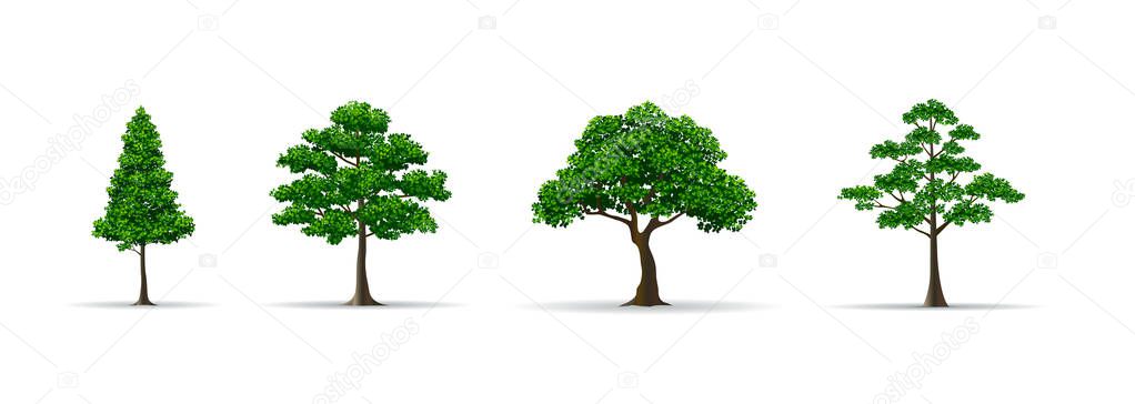 Tree set realistic vector illustration Stock Illustration