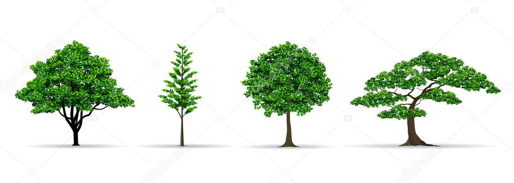 Tree set realistic vector illustration Royalty Free Stock Illustrations