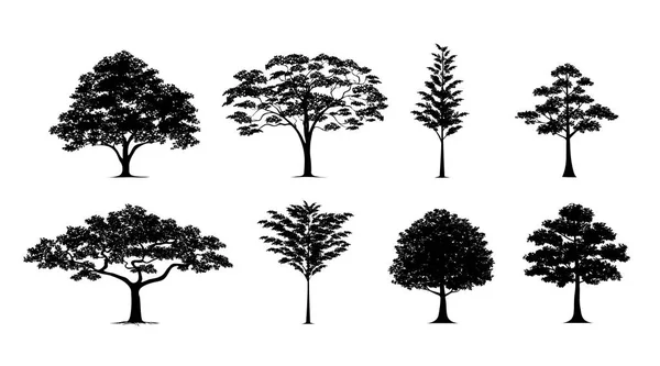 Silhueta árvore conjunto — Vetor de Stock