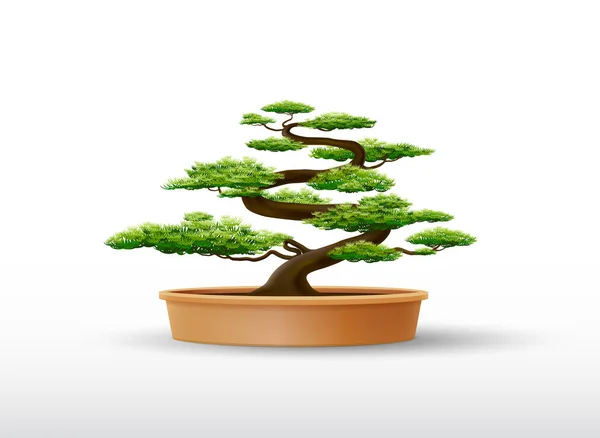 Bonsai-Pflanze im Topfvektor — Stockvektor